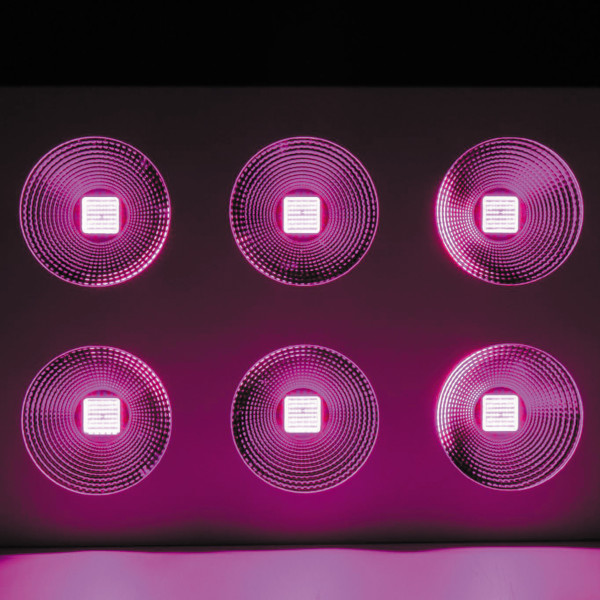 Philips. Выращивая вашу прибыль