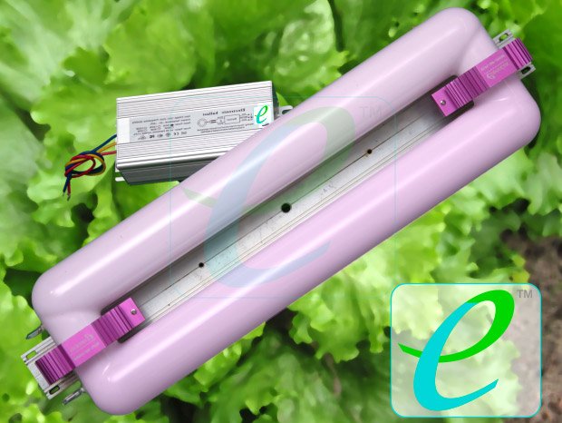 Фитолампа индукционная Юпитер 250 W+Эпра (FLORA)Фитолампа индукционная Юпитер 250 W+Эпра (FLORA)