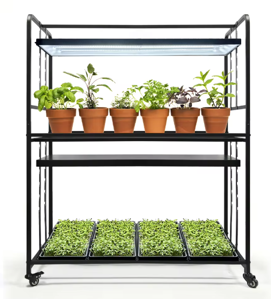 Система выращивания микрозелени Growsvet 2 по 72 WСистема выращивания микрозелени Growsvet 2 по 72 W